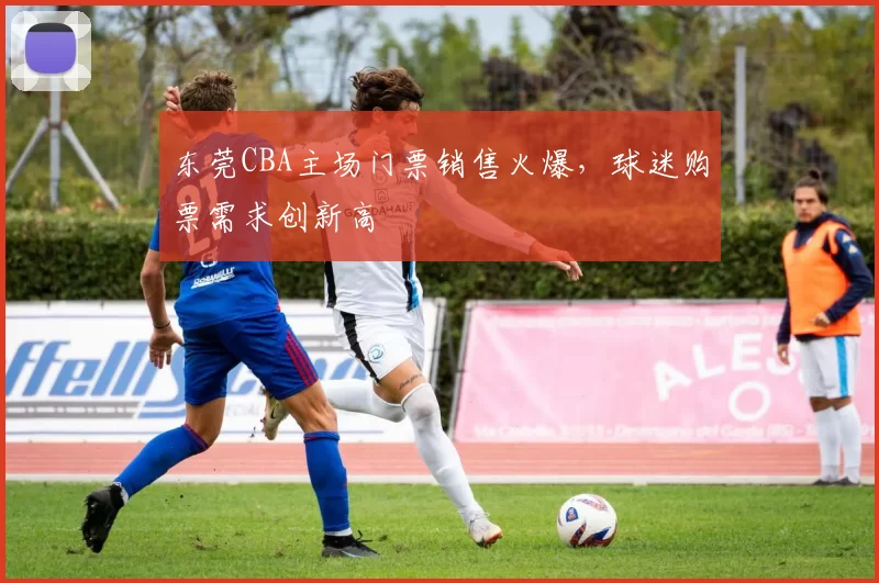 东莞CBA主场门票销售火爆，球迷购票需求创新高