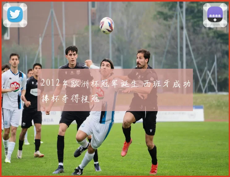 2012年欧洲杯冠军诞生 西班牙成功捧杯夺得桂冠